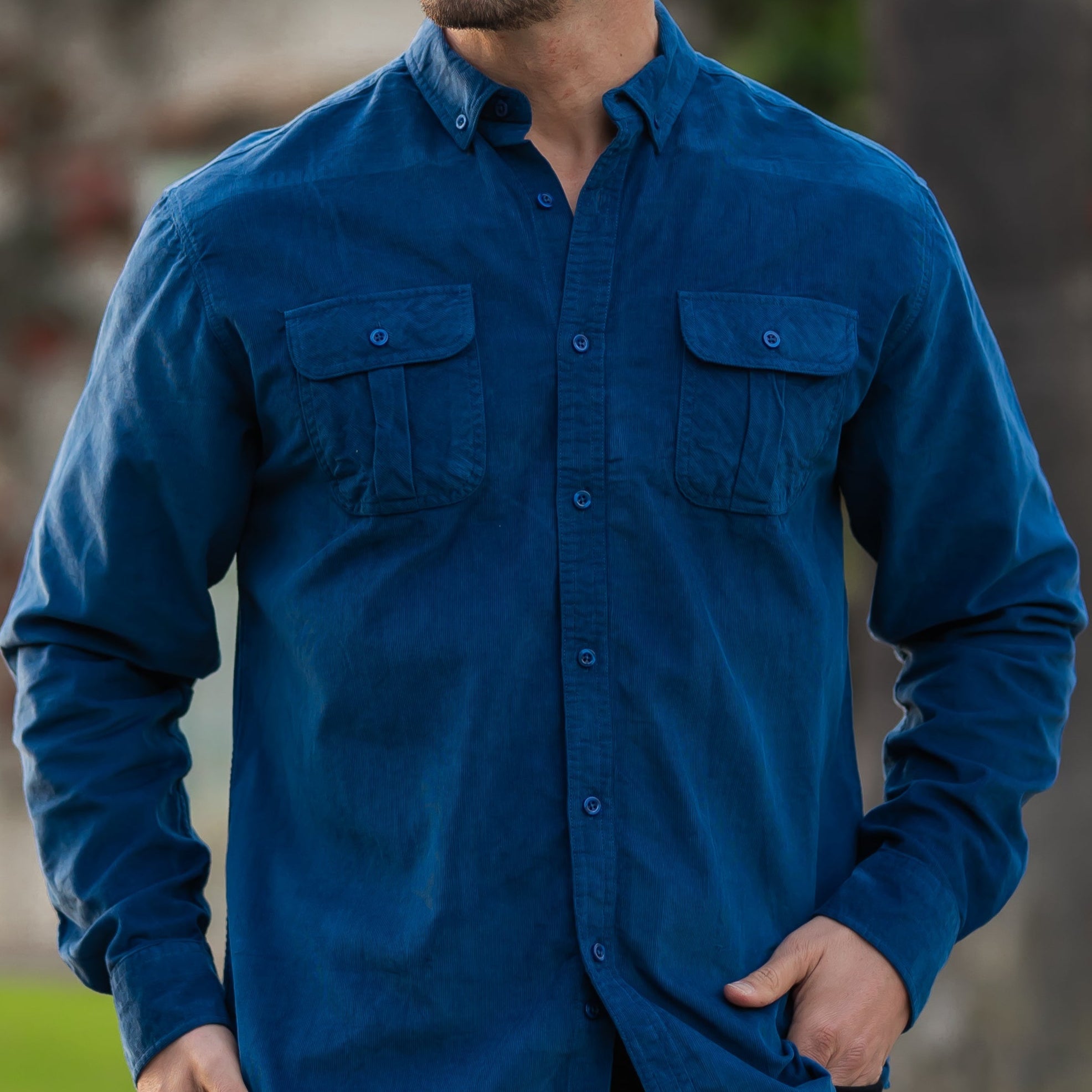 Battistilo Veloso - Image 3
